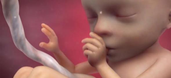 Πώς διαμορφώνεται το φύλο του μωρού στη μήτρα σε ένα συγκλονιστικό βίντεο