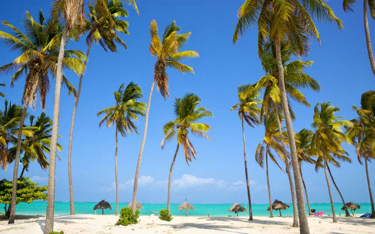 Zanzibar_shutterstock_561966820_ok